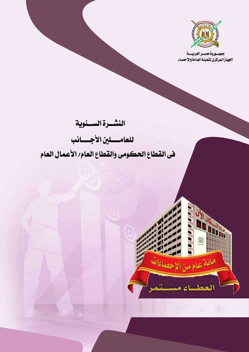 العاملون الأجانب فى القطاع الحكومى والقطاع العام/والاعمال ال